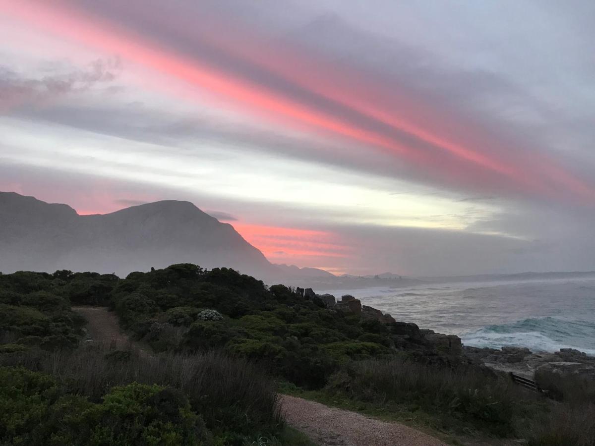 Milkwood Lodge Hermanus Extérieur photo