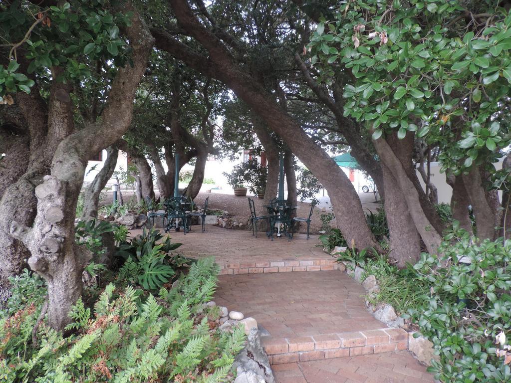 Milkwood Lodge Hermanus Extérieur photo