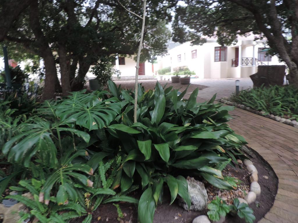 Milkwood Lodge Hermanus Extérieur photo