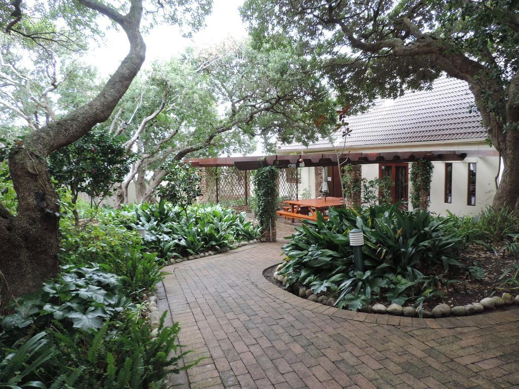 Milkwood Lodge Hermanus Extérieur photo