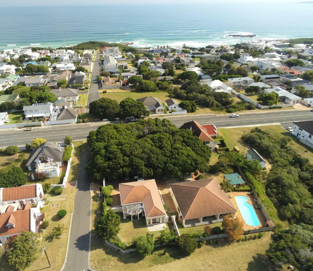 Milkwood Lodge Hermanus Extérieur photo